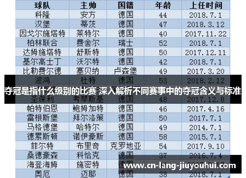 夺冠是指什么级别的比赛 深入解析不同赛事中的夺冠含义与标准