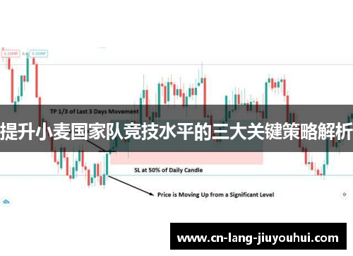 提升小麦国家队竞技水平的三大关键策略解析